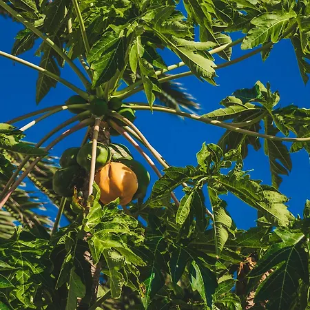 Slowing - Oceano 度假居