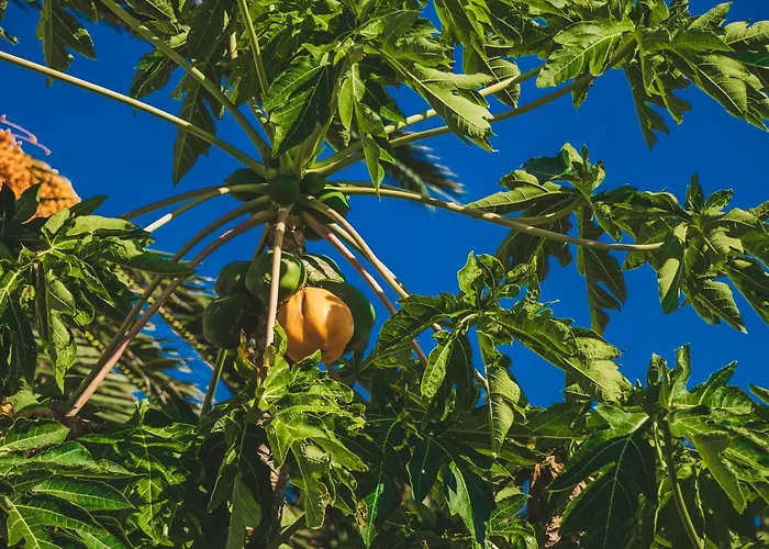 Slowing - Oceano Hébergement de vacances